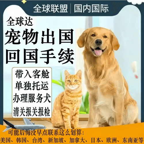 广州宠物托运到柬埔寨宠物入境规定和要求