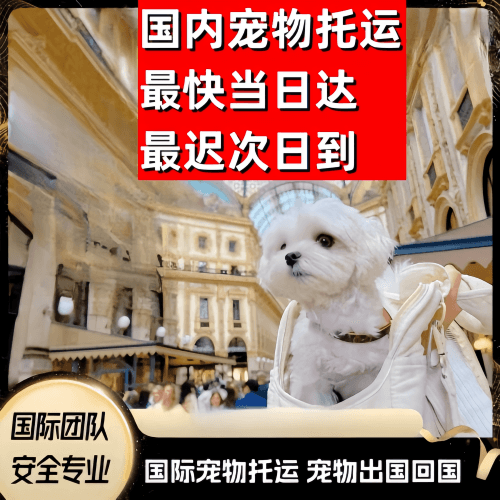 广州到澳大利亚（澳洲）宠物入境规定和要求