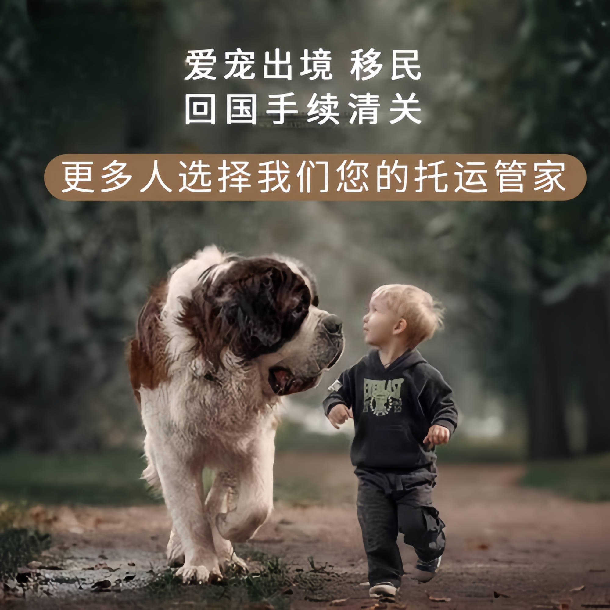 满财广州宠物全球达宠物托运在遵守入境目的地政策的条件