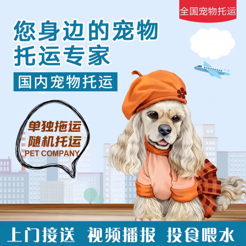 满财广州宠物全球达宠物托运作为专业的宠物运输代理机构